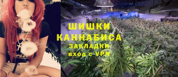 ПСИЛОЦИБИНОВЫЕ ГРИБЫ Балахна