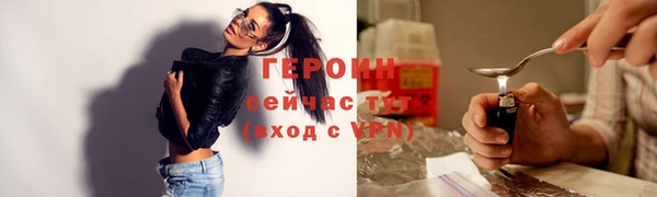 хмурый Бикин