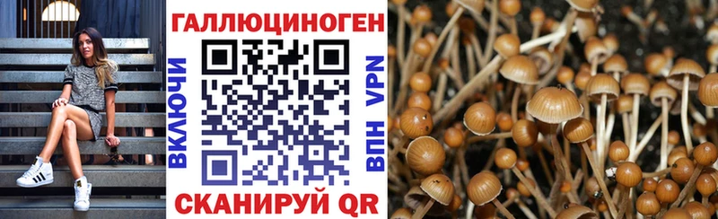 закладка  Белоозёрский  Галлюциногенные грибы MAGIC MUSHROOMS 